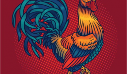 插鸡视频,揭秘趣味互动背后的科技魅力